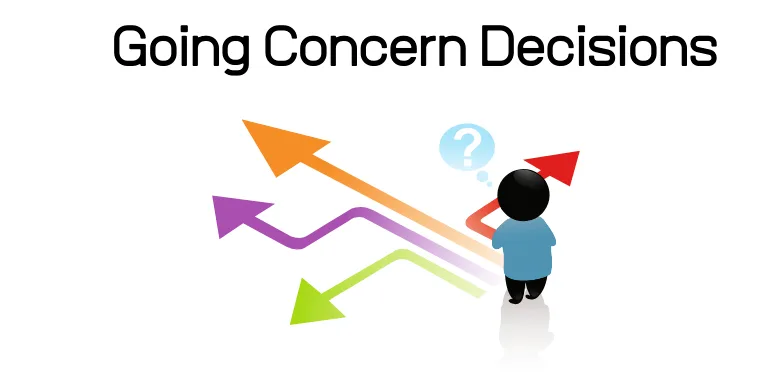 Application of the Principle of Going Concern towards the Business of Bankrupt Debtors | SIP Law Firm