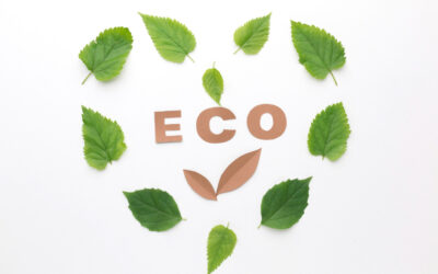 Mendorong Revolusi Ramah Lingkungan dalam Produk Kosmetik