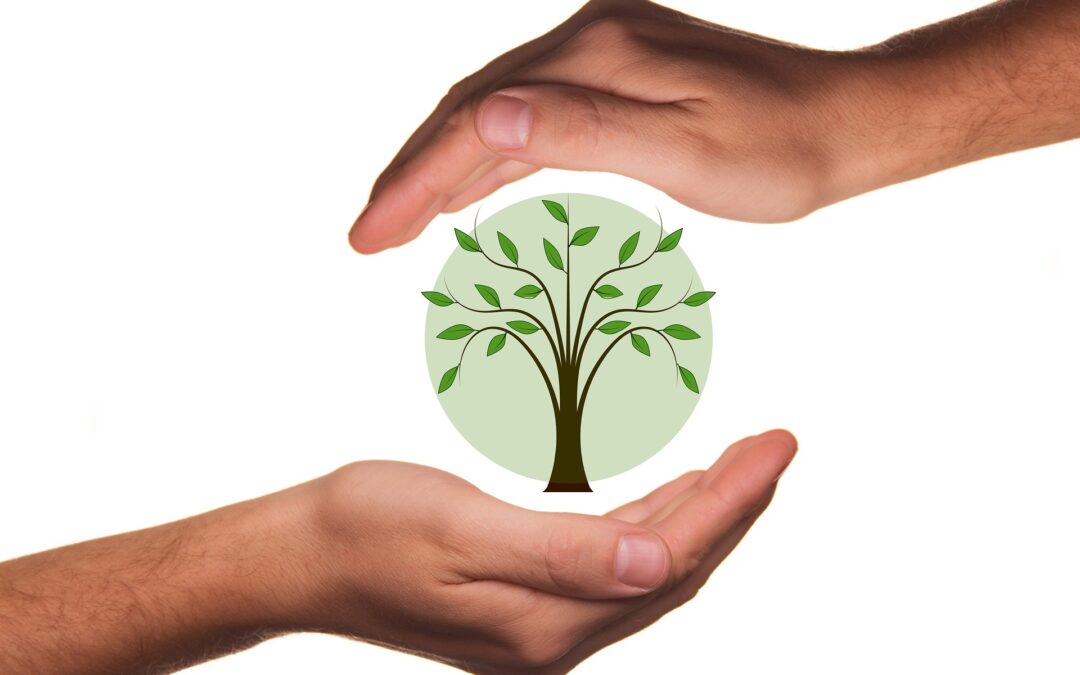 Strategi CSR