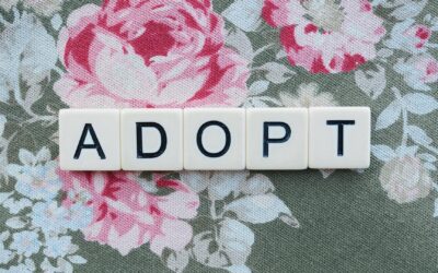 Menyelami Tantangan dan Regulasi Adopsi Anak di Indonesia