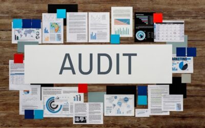 Membongkar Peran Strategis Audit Internal dalam Mitigasi Risiko Perusahaan