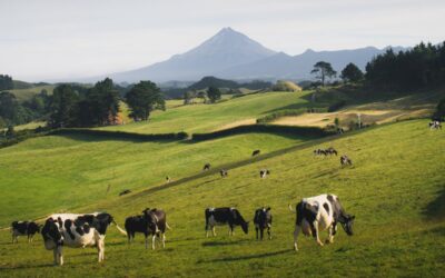 Pemanfaatan Sel Germinal dalam Menjaga Kualitas Ternak