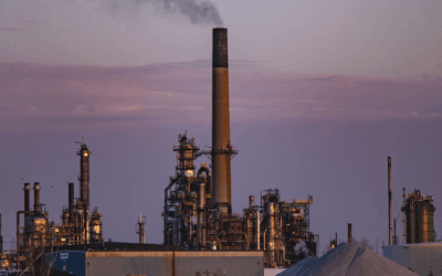 Membangun Ekonomi Hijau: Peran Strategis Carbon Credit dalam Transisi Energi Nasional