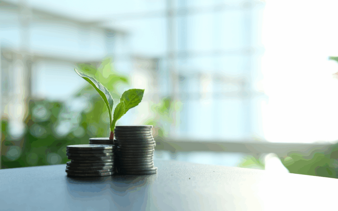 Clean Energy Transition