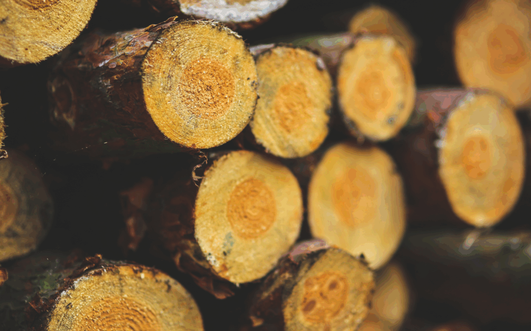 Exporting Forest Products