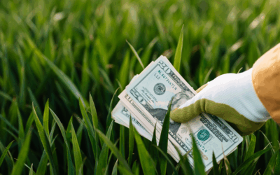 Cross-Border Renewable Energy in ASEAN: Opportunities and Legal Strategies for Green Investment