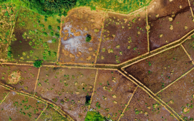 Apakah Bisa Melaksanakan Pengalihan Hak atas Tanah Tanpa Akta PPAT?