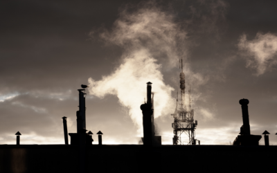 Peran Nilai Ekonomi Karbon dalam Kebijakan Lingkungan dan Pembangunan Berkelanjutan di Indonesia